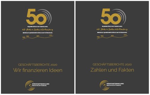 Geschäftsberichte 2020